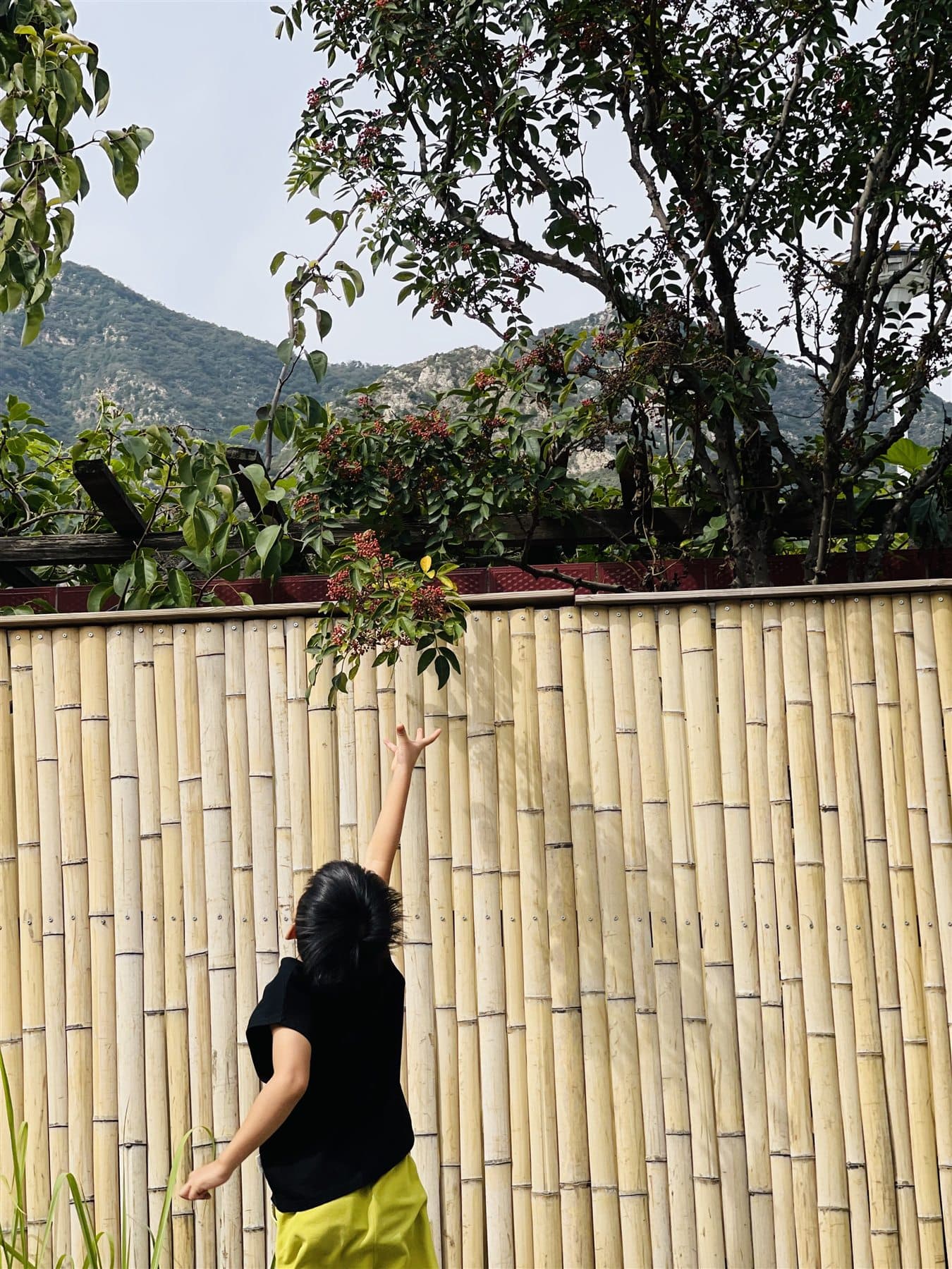 Portrait beside a bamboo fence in a mountain village
